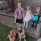 Photo for Mothers Helper Needed For Several Weeks Post Surgery