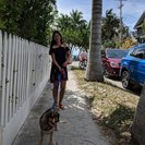 Ana K.'s Photo