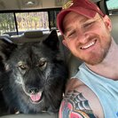 Profile image of Mike D.