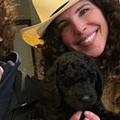 Profile image of Meredith M.