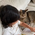 Seeker profile avatar for Looking For Pet Boarding  For 2 Cats In Ridgewood