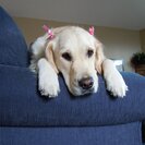 Seeker profile avatar for Hands-on Care Needed For Myself In Bradenton