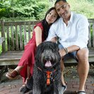 Seeker profile avatar for Walker Needed For 1 Dog In Philadelphia