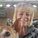 Tracy A.'s Photo