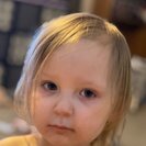 Seeker profile avatar for Nanny/Babysitter 7yr & 5mo