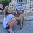 Seeker profile avatar for Summer Help Needed For 2 Great Kids In The Woodlands