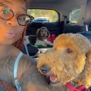 Seeker profile avatar for Babysitter Needed For 3 Children In Fredericksburg