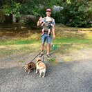 Seeker profile avatar for Nanny Needed For 1 Child In Redmond.