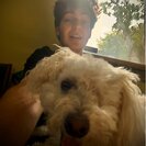 Thomas M.'s Photo
