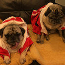 Seeker profile avatar for Before And After School Nanny Needed For 2 Children In Ingleside