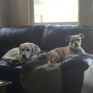 Profile image of Dee S.