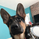 Profile image of Emily R.