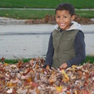 Seeker profile avatar for Looking For A Spanish Language Tutor In Naperville.