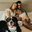 Seeker profile avatar for Nanny Needed For 3 Month Old 3 Days A Week
