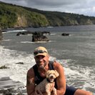 Seeker profile avatar for Looking For A Dependable House Cleaner For Family Living In Kihei