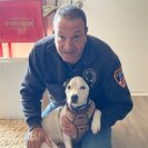 Profile image of Frank B.