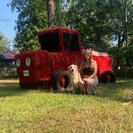 Cassidy D.'s Photo