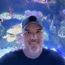 Seeker profile avatar for Childcare For 3 Girls