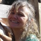 Ann P.