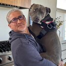 Seeker profile avatar for Looking For A Pet Sitter For 1 Dog In Bettendorf