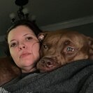Seeker profile avatar for Looking For A Pet Sitter For 1 Dog In Spring