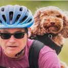 Seeker profile avatar for Sitter Needed For 1 Dog In Scarborough