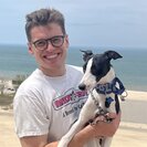 Seeker profile avatar for Looking For A Pet Sitter For 1 Dog In Chicago