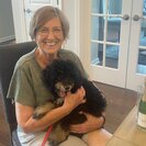 Seeker profile avatar for Walker Needed For 1 Dog In Midlothian
