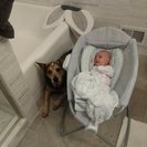 Seeker profile avatar for Summer Babysitter Needed For 2 Children In Golden Valley