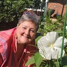 Annette B.'s Photo