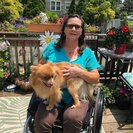 Seeker profile avatar for Part Time Caregiver Needed In Pottstown