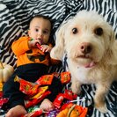 Photo for Fun, Energetic Nanny For 3 Awesome Kids