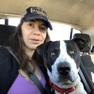 Seeker profile avatar for Seeking Part-time Adult Care Provider In Yuma