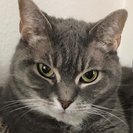 Profile image of Kathryn C.
