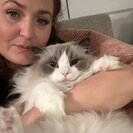 Profile image of Lauren P.