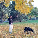 Seeker profile avatar for Housekeepers In Santa Clara