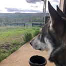 Seeker profile avatar for Nanny Needed For 2 Children In Charlottesville