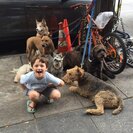 Seeker profile avatar for Babysitter Needed For 1 Teen In New London