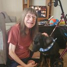 Photo for Respite Caregivers Needed