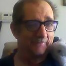 Profile image of Tom H.