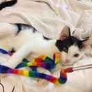 Photo for Nanny & Household Helper Needed For Baby & Toddler In Encinitas