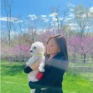 Profile image of Sarah Y.