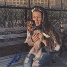 Seeker profile avatar for Afternoon Nanny / Family Assistant