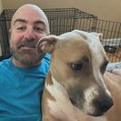 Profile image of Jay H.