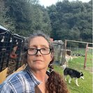 Tammy M.'s Photo