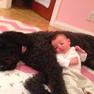 Profile image of Elissa W.