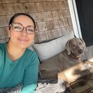 Seeker profile avatar for Nanny Needed For 1 Child In Enfield