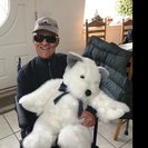 Profile image of Stefani I.