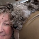 Profile image of Kathy O.