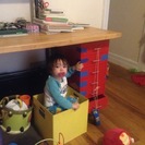 Seeker profile avatar for Looking For A Study Skills, Computers, English, Math, Science Tutor In New York.